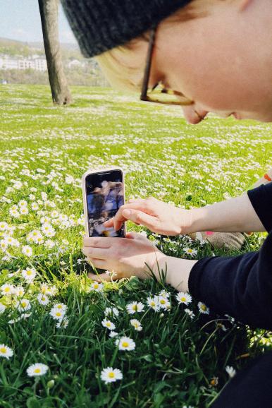 Drehen Sie Ihr Handy für bodennahe Aufnahmen einfach um.