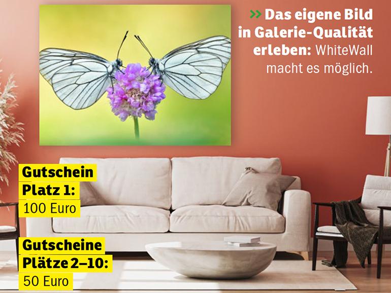 Das eigene Bild in Galerie-Qualität erleben: WhiteWall macht es möglich.