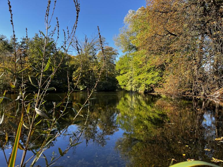 Schon ein kleiner Tümpel beim Spaziergang bietet Potenzial für attraktive Reflexionsfotos.