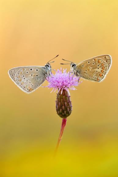 Nikon D850 | Sigma 2,8/150mm | 1/15 s | f/9 | ISO 100