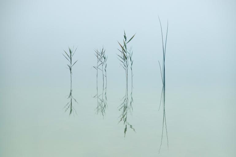 Auch Details oder abstrakte Motive gehören zur Landschaftsfotografie. Canon EOS 6D II | 149mm | 1/160 s | f/6,3 | ISO 320