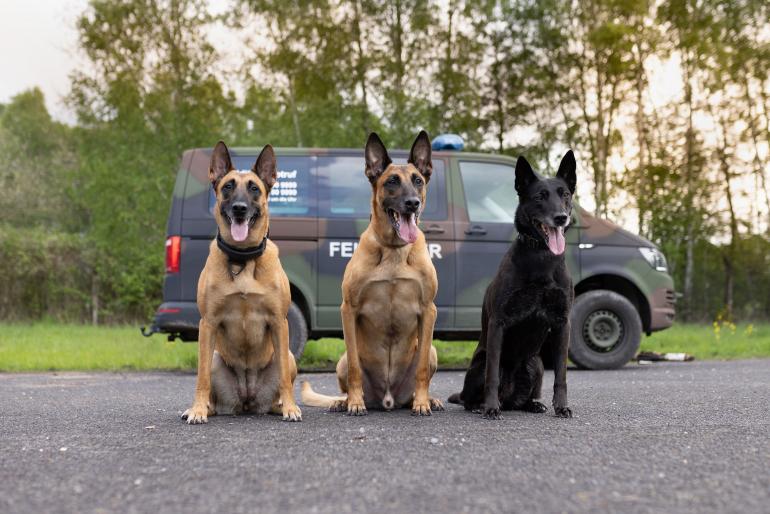 Hunde mit Mission: ein ganz besonderes Fotoprojekt 