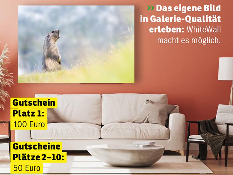 Das eigene Bild in Galerie-Qualität erleben: WhiteWall macht es möglich.