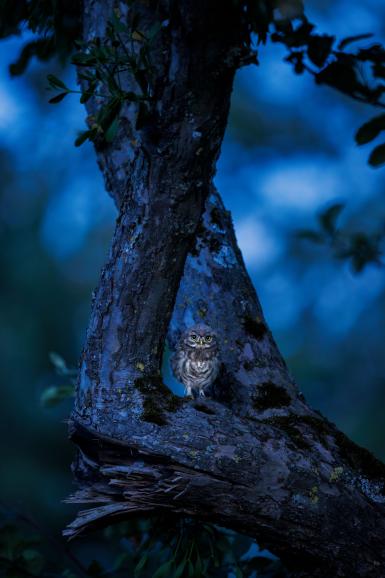 Gerade bei Aufnahmen wie dieser ist die Nachbearbeitung entscheidend. Die Bildkontrolle erfolgt bei Jakubowski am EIZO-Monitor. Canon EOS R5 | 400mm | 0,5 s | f/2,8 | ISO 3200