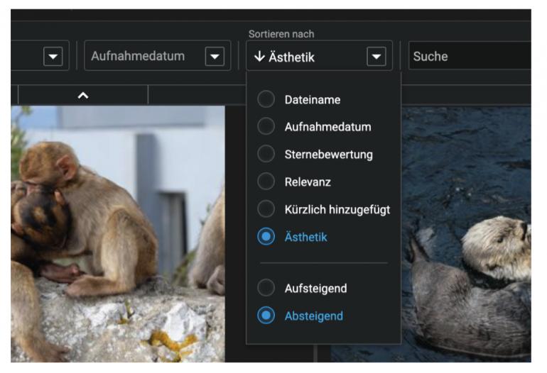 Sortieren nach Ästhetik