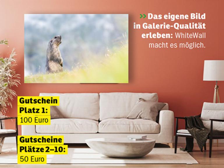 Das eigene Bild in Galerie-Qualität erleben: WhiteWall macht es möglich.