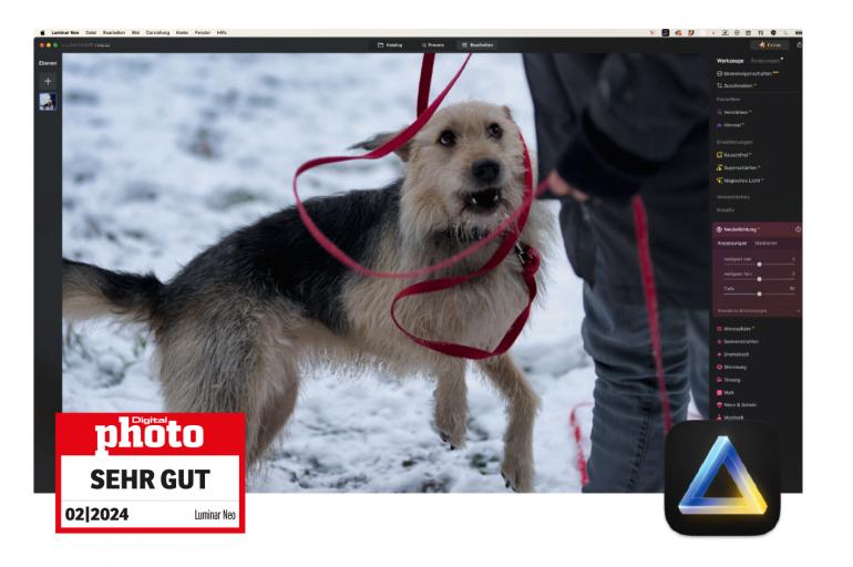 Fotosoftware Test: DIE 10 Bildbearbeitungsprogramme 2024