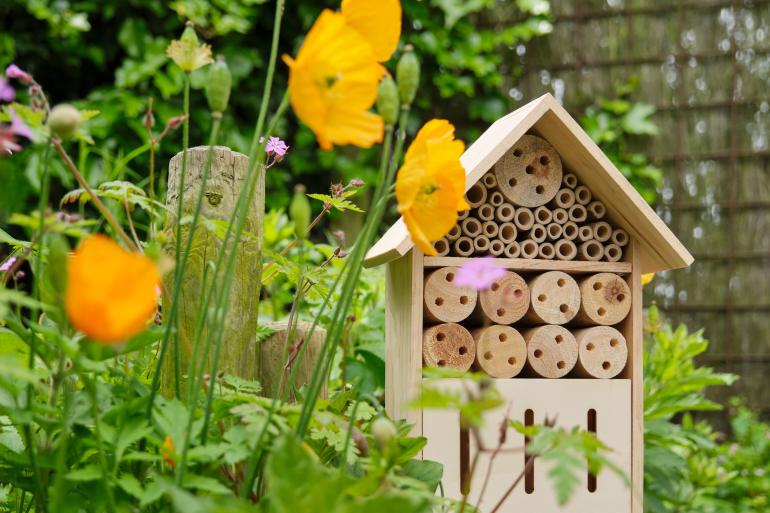 Bienenhaus im Garten