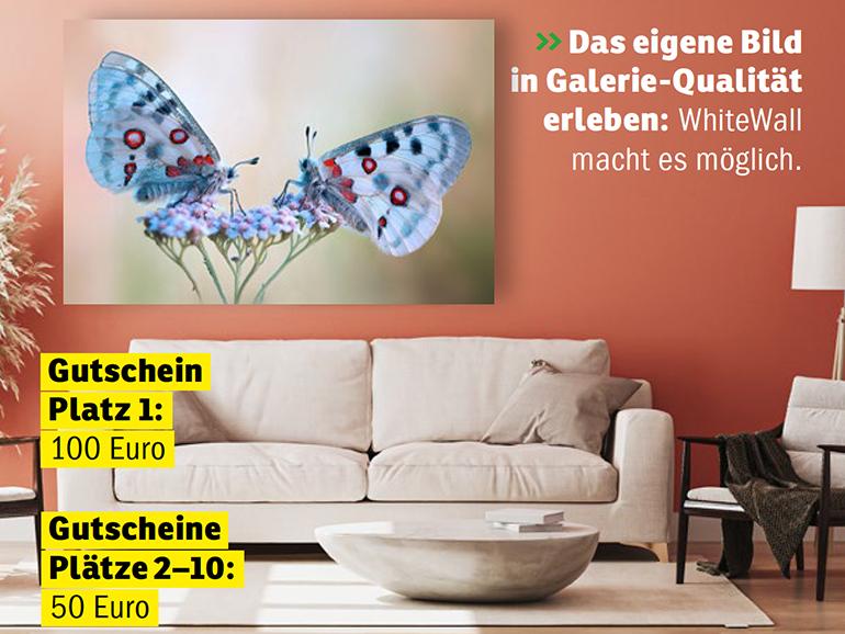 Das eigene Bild in Galerie-Qualität erleben: WhiteWall macht es möglich.