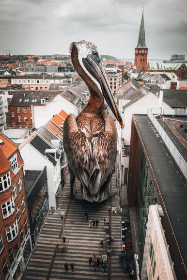 „The city guide“