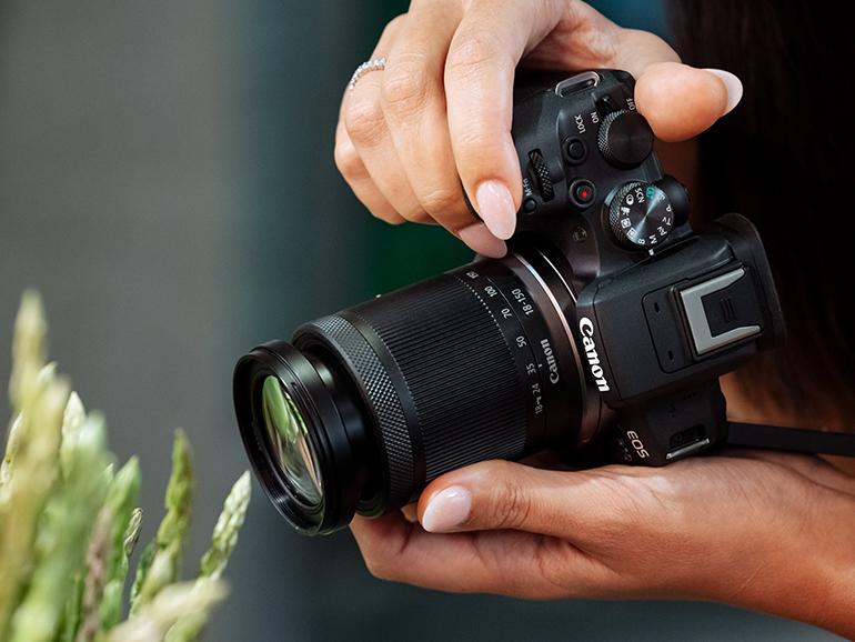 Auch Einstiegskameras wie die Canon EOS R10 bringen eine hohe Bildqualität mit und eignen sich ohne Einschränkungen unter anderem für Makrofotos.