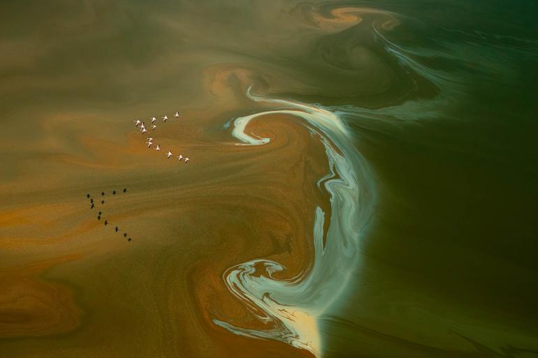 Der Magadisee ist ein flacher Sodasee im südlichen Kenia, etwa 100 Kilometer südwestlich von Nairobi. Er ist bekannt für seine großen Trona-Vorkommen und beheimatet zahlreiche Vogelarten wie Flamingos und Pelikane. Vogelflug | Sony Alpha 1 | 145 mm | 1/1600 s | F/10 | ISO 800