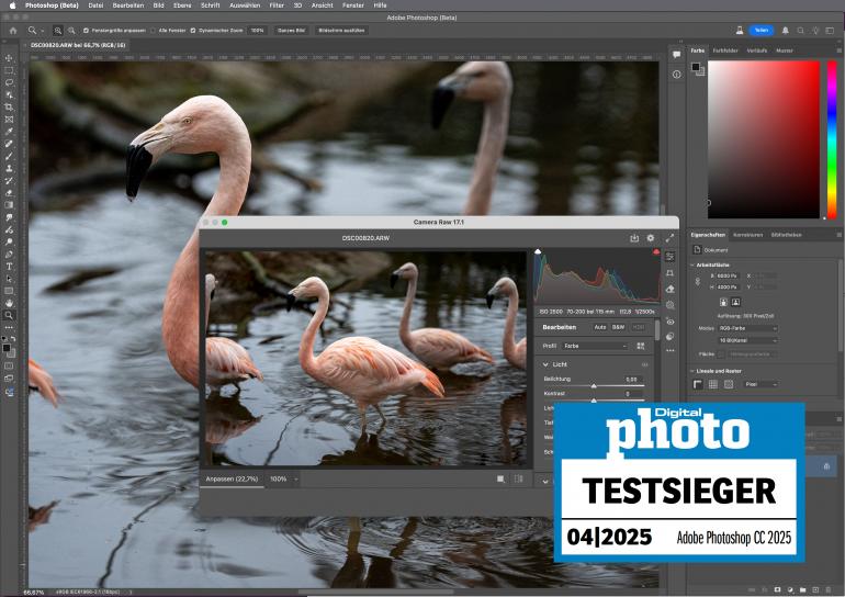 Photoshop beherrscht die Einbindung der künstlichen Intelligenz meisterhaft.