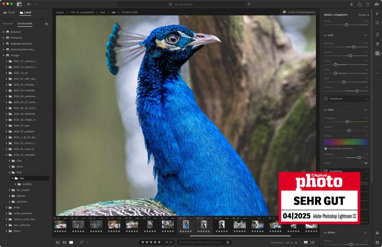 Lightroom ist für große Bildmengen perfekt und liefert super Resultate.