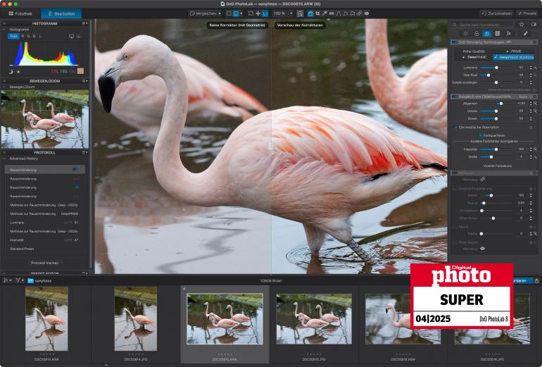 Bildrauschen entfernt PhotoLab mit herausragender Schärfeleistung.