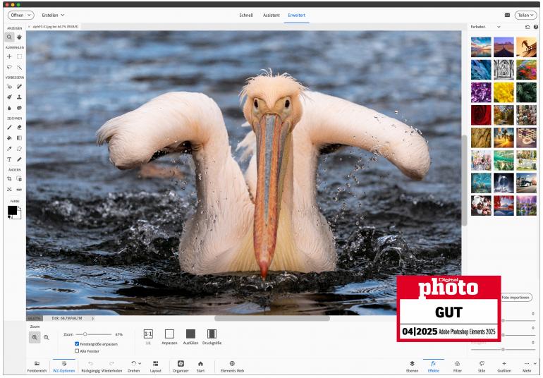 Die kleine Hobbythek in Photoshop Elements – irgendwie etwas von allem.