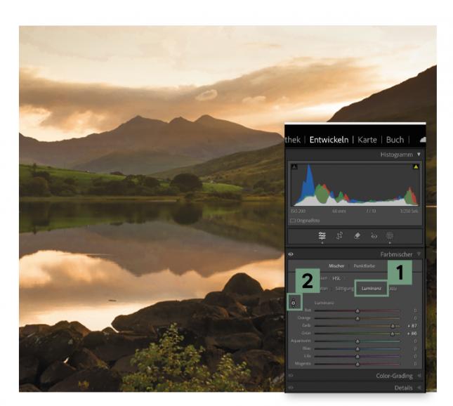 Farbkorrektur mit dem HSL-Bedienfeld in Lightroom Classic erklärt (8 Schritte)