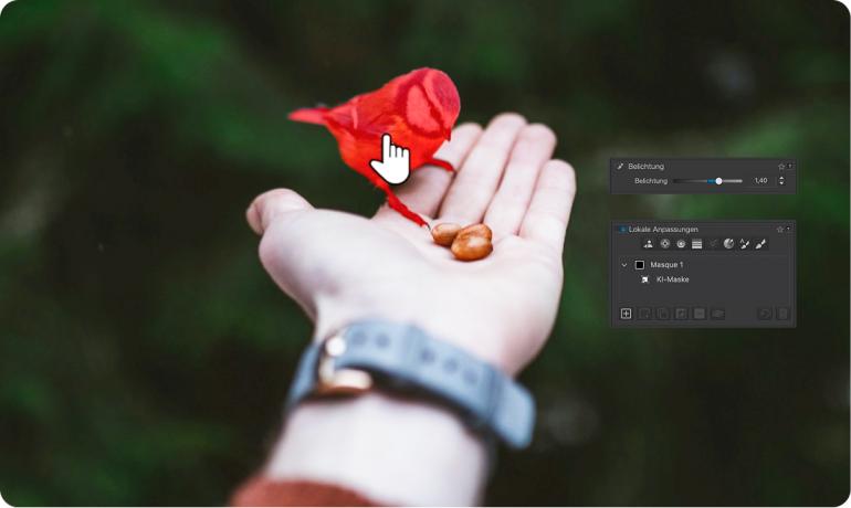 Eine der Hauptfunktionen in PhotoLab 9 ist das neue DxO AI Masks.
