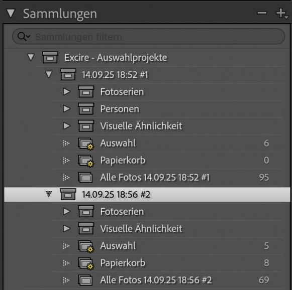 In der Ansicht: Excire Auswahlprojekte 