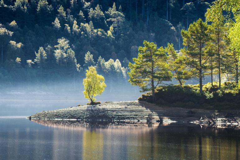 Morgendämmerung über einem See in den schottischen Highlands.