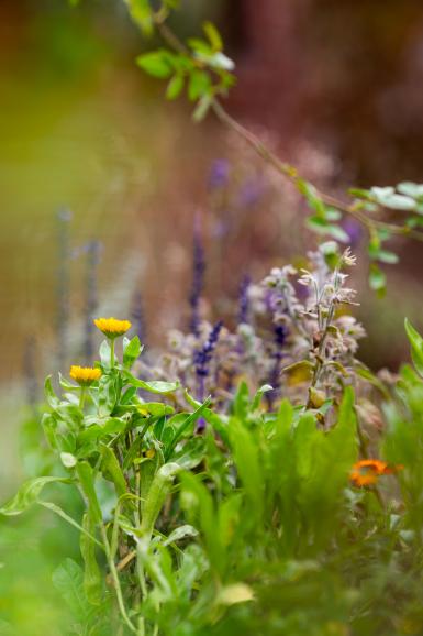 Das NIKKOR Z 135mm f/1.8 S Plena liefert eine beeindruckende Schärfe und ein besonders weiches Bokeh.