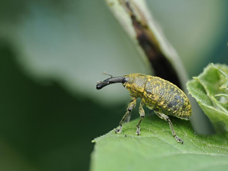 OM-1 Mark II | 90 mm | 1/60 s | f/4,5 | ISO 200