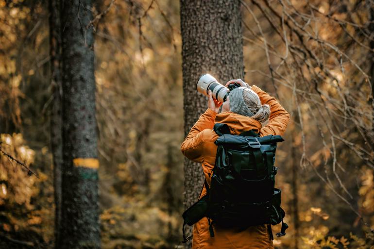 Diese intensive Fotoreise lädt Sie ein, die ungezähmte Schönheit des Nordens einzufangen: scheue Raubtiere wie Wolf, Bär und Vielfraß, majestätische Waldvögel und Greifvögel wie Adler und Falken sowie inspirierende Landschaften in leuchtenden Herbstfarben.