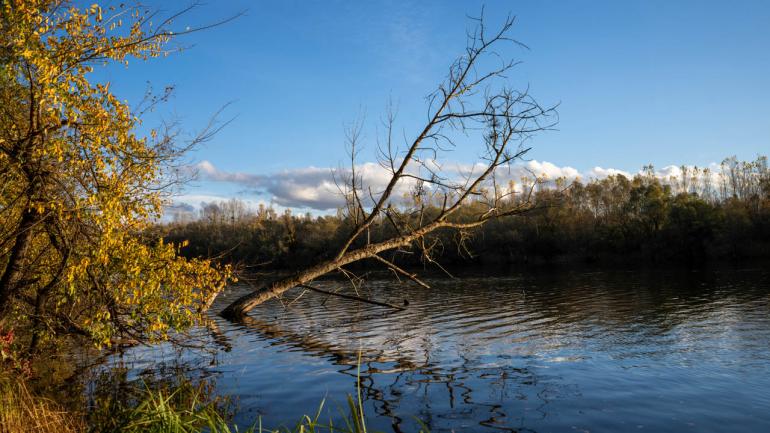 Mit 28mm Brennweite bekommt man schon ordentlich Landschaft ins Bild…