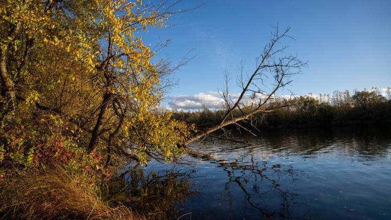 Die zusätzlichen 8mm im SIGMA 20–200mm F3.5–6.3 DG | Contemporary geben aber noch mehr kreativen Spielraum zur Bildgestaltung.