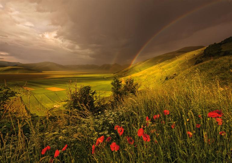 15 Landschaftsfotografie Tipps, die jeder kennen sollte