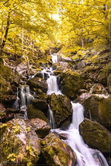 Nikon Z 6 | Nikkor Z 24-120 mm F/4 S | 24 mm | 1/5 s | F/11 | ISO 250