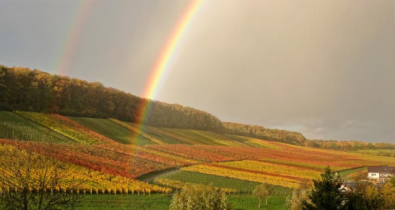 Sony RX10 IV | Sony 8.8-220.0 mm f/2.4-4.0 | 16,3 mm | 1/250 s | F/4 | ISO 100