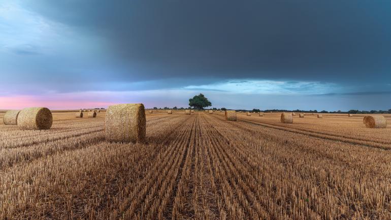 Sony Alpha 7 III | Sony FE 16-35mm F2,8 GM | 21 mm | 0,4 s | F/8 | ISO 100