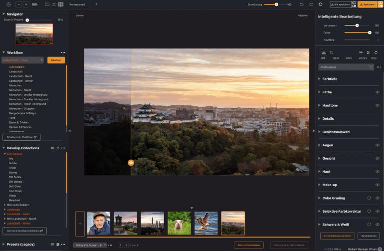 Der Workspace Professionell zeigt alle verfügbaren Werkzeuge und eignet sich als Ausgangspunkt für umfassende Bildbearbeitungen.