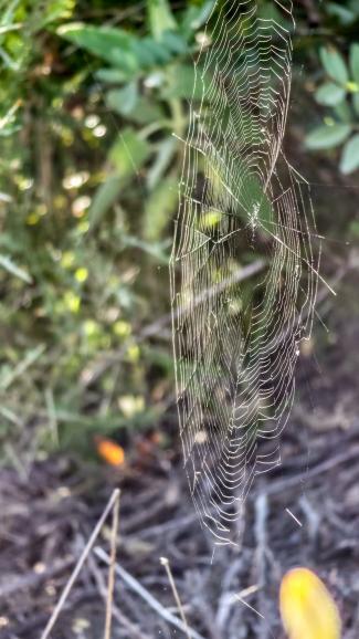 Der Autofokus ist selbst bei schwierigen Motiven extrem präzise.