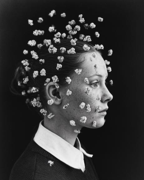 NOUVEAU ROMAN #1 Computational art, Franki Domino, 2025.