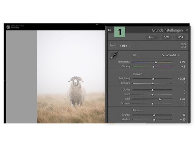 Lightroom Grundeinstellungen