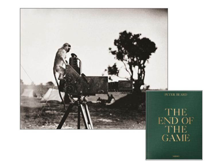 Peter Beards „The End of the Game“: Der Taschen Verlag legt den Fotografie-Klassiker über Afrikas bedrohte Tierwelt neu auf.