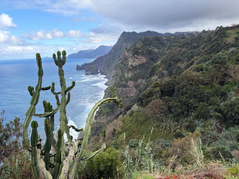 Die Aufnahme entstand zur Mittagszeit auf Madeira. Hartes Sonnenlicht, flau wirkende Farben und tiefe Schatten lassen das Landschaftsmotiv zunächst wenig ausgewogen erscheinen.