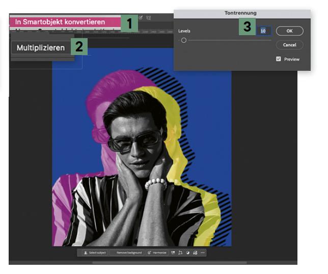 Zum Finale werden Muster, Farbflächen und Hauptmotiv optisch zusammengeführt. Die reduzierte Tonwertdarstellung verstärkt den illustrativen Charakter und sorgt für den gewünschten Poster-Look.