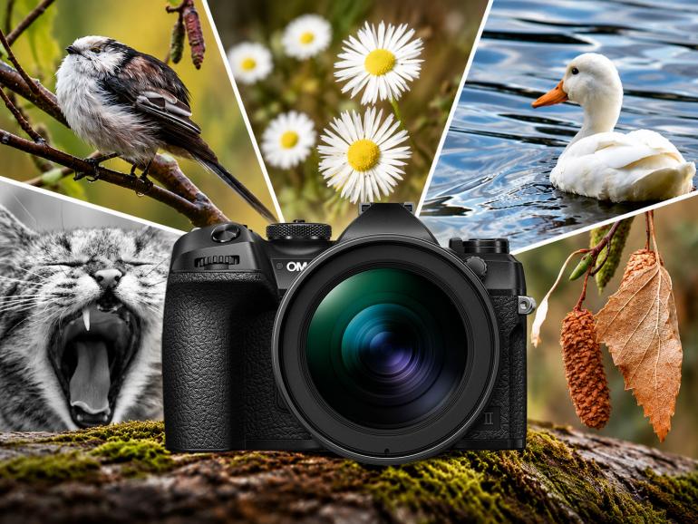 Die OM SYSTEM OM-1 Mark II musste sich im Lesertest bei ganz unterschiedlichen Motiven beweisen. Von Vögeln und Naturdetails bis hin zur Tierfotografie.