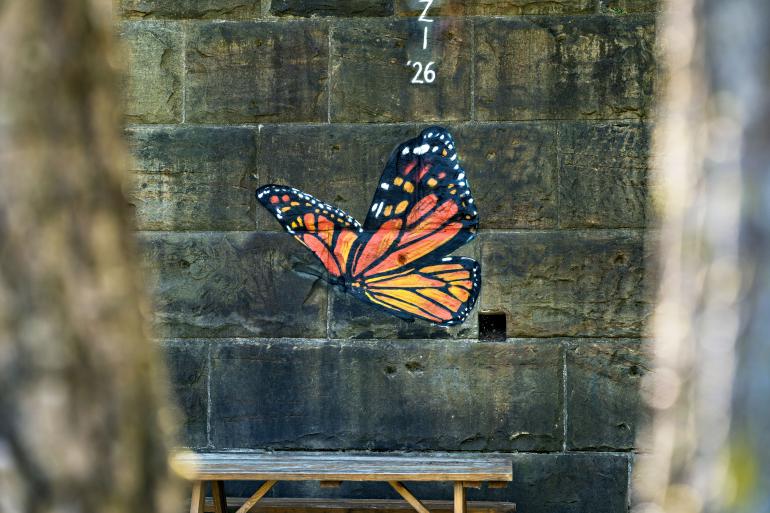 Farbenfrohe Streetart setzt kreative Akzente im Stadtbild.