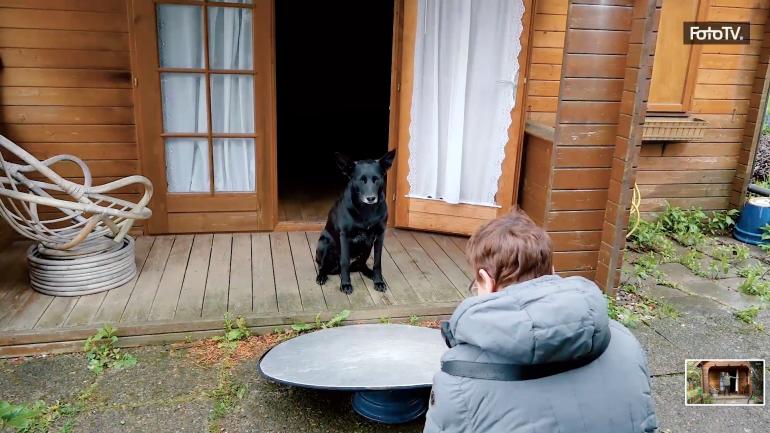 Schritt 2: Um einen dunklen Hintergrund zu erhalten, brachte Elke Vogelsang den Hund vor einer Hütte in ihrem Garten ins Sitzen, deren geöffnete Tür den Blick auf den abgedunkelten Raum im Inneren freigab. Um den Hund zusätzlich von unten etwas aufzuhellen, verwendete sie einen Reflektor, den sie von vorne und leicht schräg unter dem Hund platzierte.