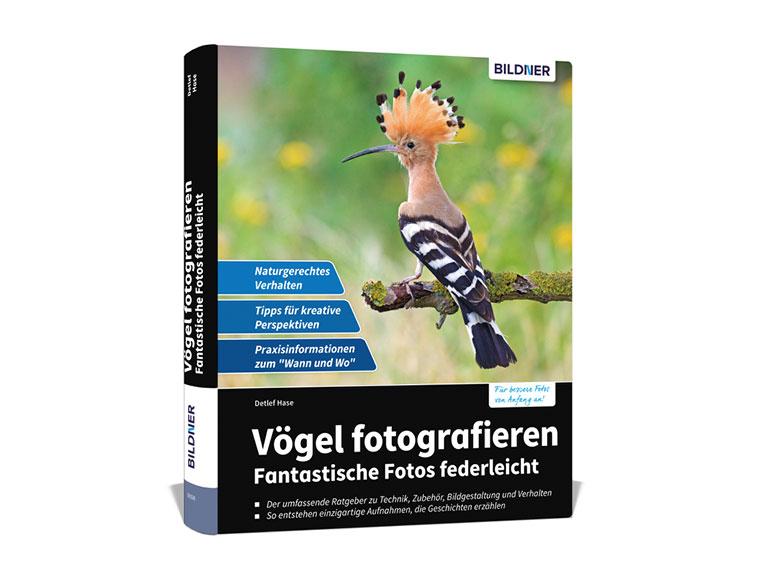 Vögel fotografieren: fantastische Fotos federleicht