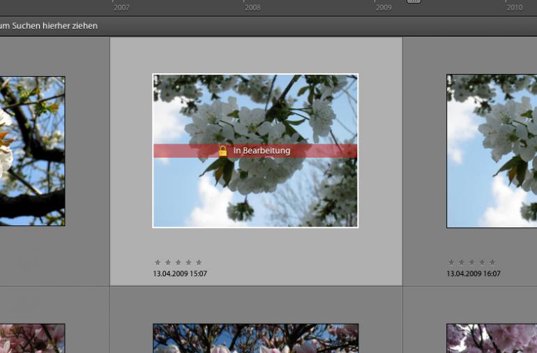 Photoshop Elements 9: Fotos laden & speichern
