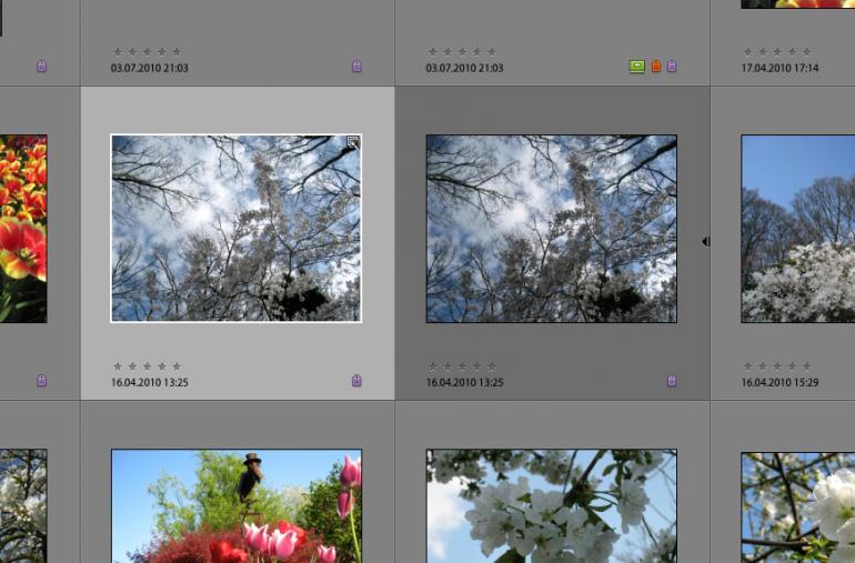 Photoshop Elements 9: Fotos laden & speichern
