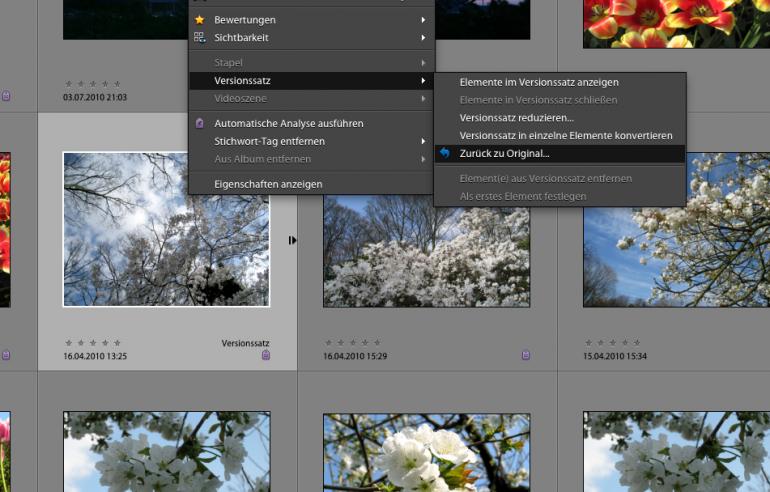 Photoshop Elements 9: Fotos laden & speichern