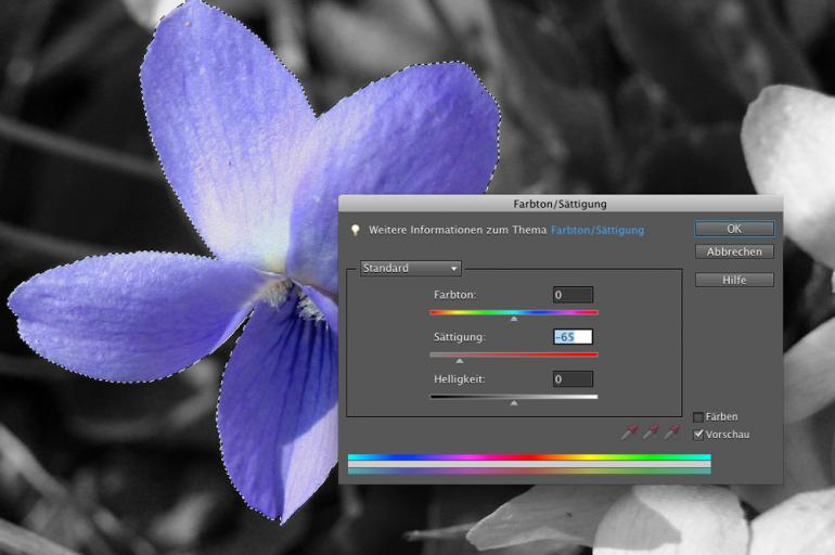Photoshop Elements 9: Farbton & Sättigung