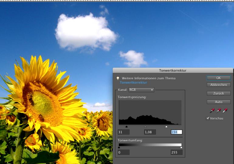 Photoshop Elements 9: Filter & Panoramen