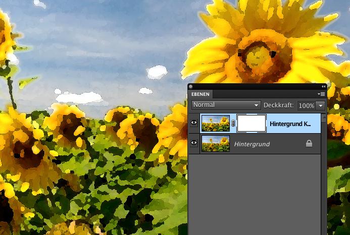 Photoshop Elements 9: Filter & Panoramen